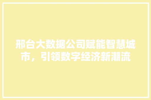 邢台大数据公司赋能智慧城市，引领数字经济新潮流