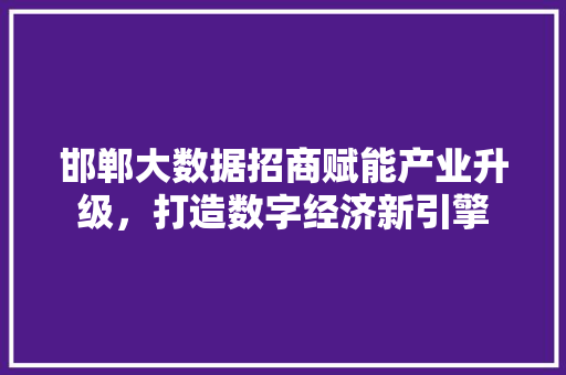 邯郸大数据招商赋能产业升级，打造数字经济新引擎