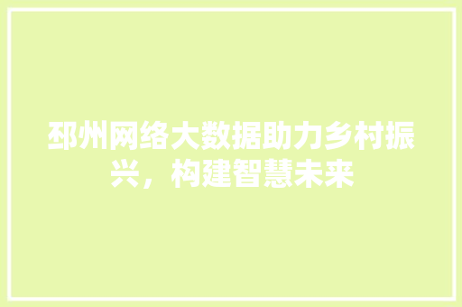 邳州网络大数据助力乡村振兴，构建智慧未来