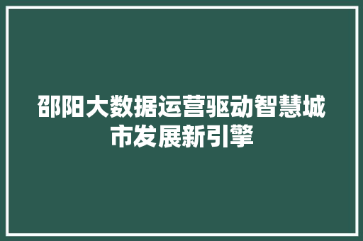 邵阳大数据运营驱动智慧城市发展新引擎  第1张