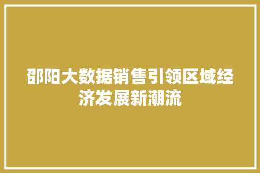 邵阳大数据销售引领区域经济发展新潮流  第1张