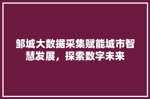 邹城大数据采集赋能城市智慧发展，探索数字未来