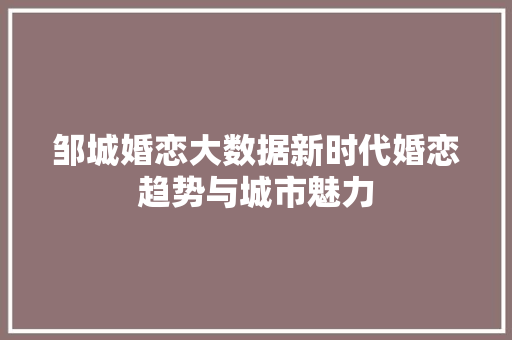 邹城婚恋大数据新时代婚恋趋势与城市魅力
