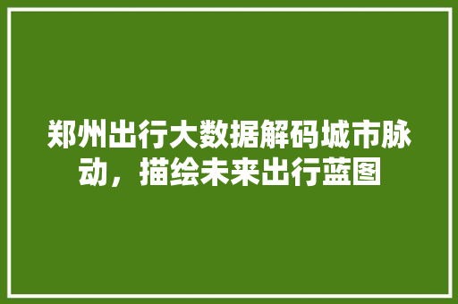 郑州出行大数据解码城市脉动，描绘未来出行蓝图