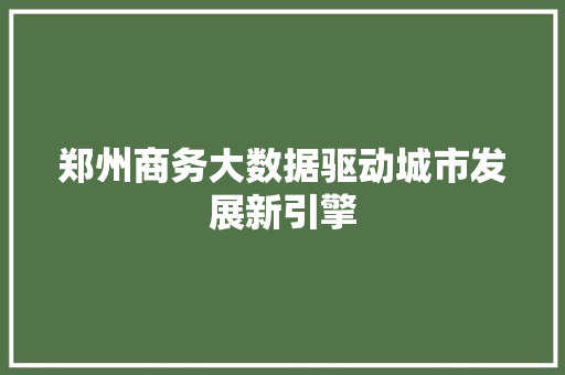 郑州商务大数据驱动城市发展新引擎  第1张