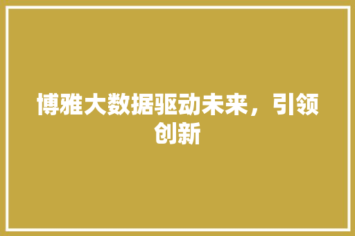博雅大数据驱动未来，引领创新  第1张
