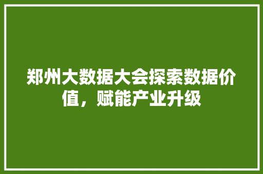 郑州大数据大会探索数据价值，赋能产业升级