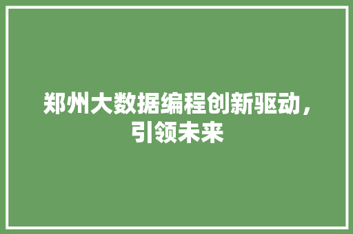 郑州大数据编程创新驱动，引领未来  第1张
