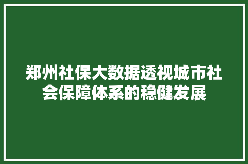 郑州社保大数据透视城市社会保障体系的稳健发展  第1张