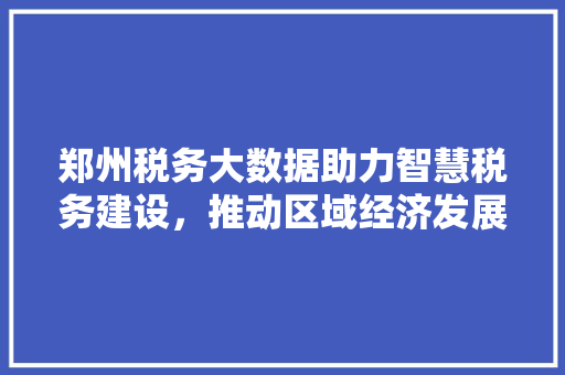 郑州税务大数据助力智慧税务建设，推动区域经济发展