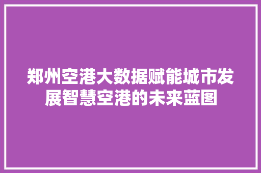 郑州空港大数据赋能城市发展智慧空港的未来蓝图