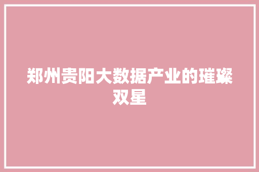 郑州贵阳大数据产业的璀璨双星