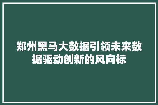 郑州黑马大数据引领未来数据驱动创新的风向标