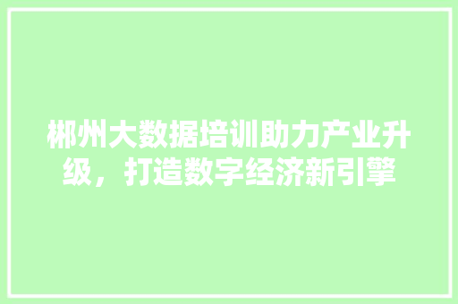 郴州大数据培训助力产业升级，打造数字经济新引擎  第1张