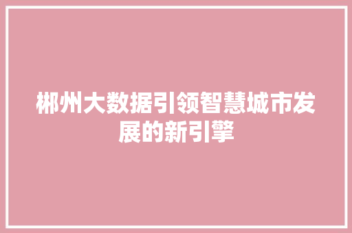郴州大数据引领智慧城市发展的新引擎