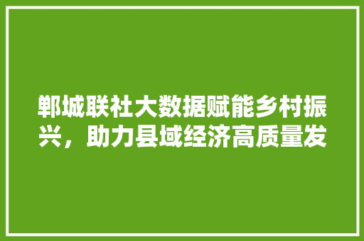 郸城联社大数据赋能乡村振兴，助力县域经济高质量发展  第1张