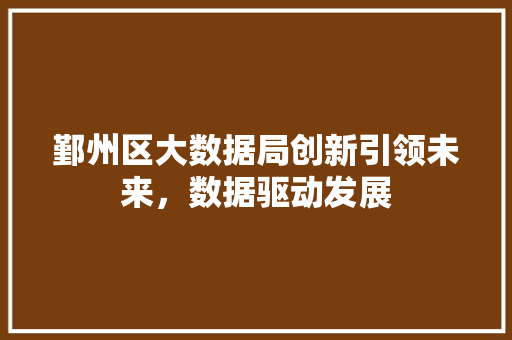 鄞州区大数据局创新引领未来，数据驱动发展  第1张