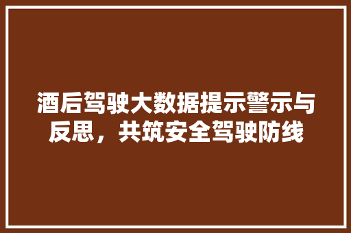 酒后驾驶大数据提示警示与反思，共筑安全驾驶防线