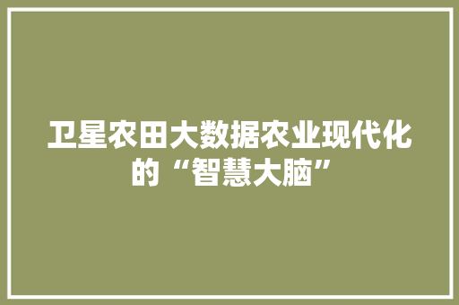 卫星农田大数据农业现代化的“智慧大脑”