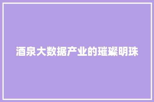 酒泉大数据产业的璀璨明珠