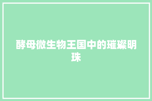 酵母微生物王国中的璀璨明珠  第1张