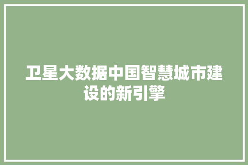 卫星大数据中国智慧城市建设的新引擎