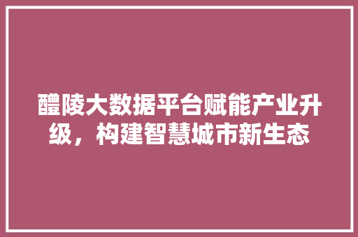 醴陵大数据平台赋能产业升级，构建智慧城市新生态  第1张