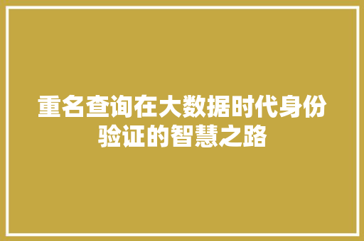 重名查询在大数据时代身份验证的智慧之路