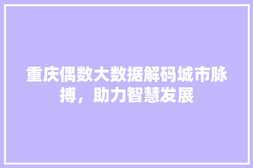 重庆偶数大数据解码城市脉搏，助力智慧发展