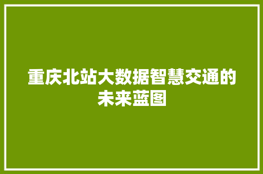 重庆北站大数据智慧交通的未来蓝图  第1张