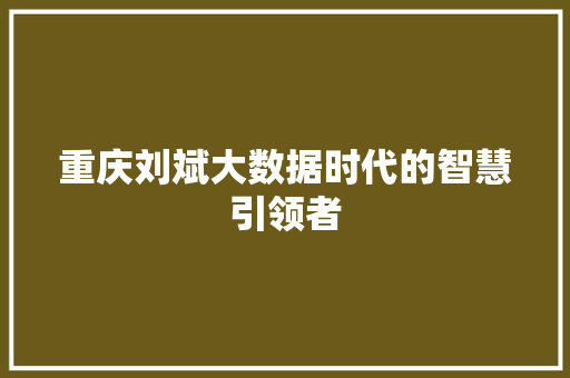 重庆刘斌大数据时代的智慧引领者
