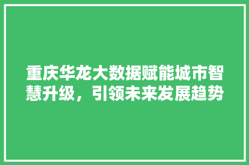 重庆华龙大数据赋能城市智慧升级，引领未来发展趋势  第1张