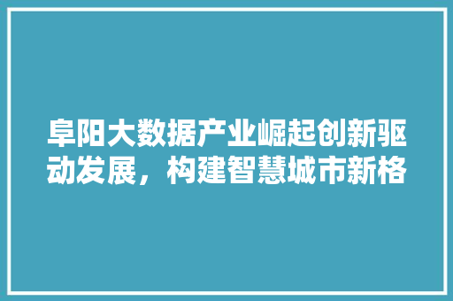 阜阳大数据产业崛起创新驱动发展，构建智慧城市新格局  第1张