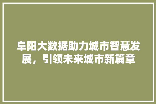 阜阳大数据助力城市智慧发展，引领未来城市新篇章  第1张