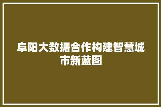 阜阳大数据合作构建智慧城市新蓝图  第1张