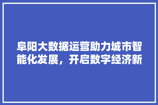 阜阳大数据运营助力城市智能化发展，开启数字经济新篇章  第1张