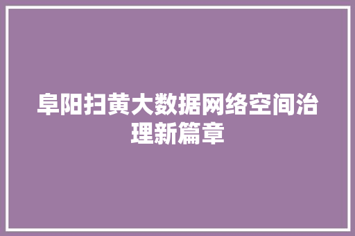 阜阳扫黄大数据网络空间治理新篇章