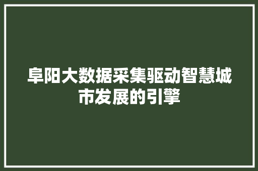 阜阳大数据采集驱动智慧城市发展的引擎