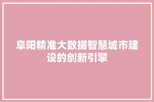 阜阳精准大数据智慧城市建设的创新引擎  第1张