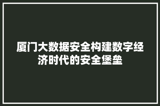 厦门大数据安全构建数字经济时代的安全堡垒  第1张