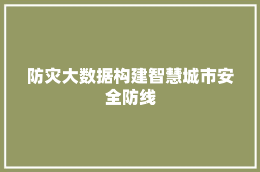 防灾大数据构建智慧城市安全防线