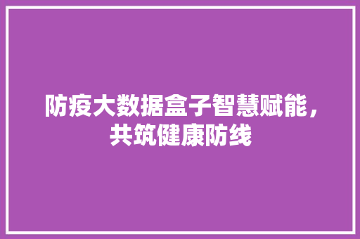 防疫大数据盒子智慧赋能，共筑健康防线