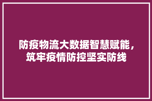 防疫物流大数据智慧赋能，筑牢疫情防控坚实防线