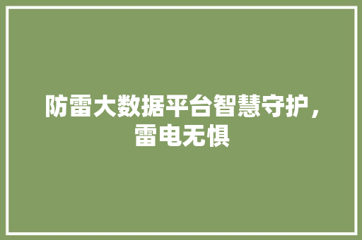 防雷大数据平台智慧守护，雷电无惧