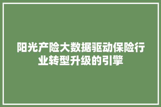 阳光产险大数据驱动保险行业转型升级的引擎