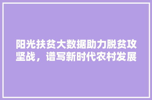 阳光扶贫大数据助力脱贫攻坚战，谱写新时代农村发展新篇章