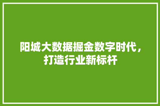 阳城大数据掘金数字时代，打造行业新标杆  第1张