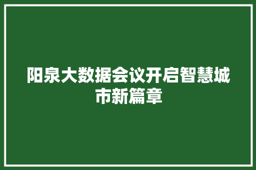 阳泉大数据会议开启智慧城市新篇章  第1张