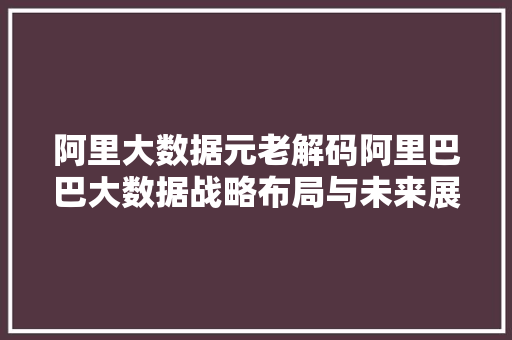 阿里大数据元老解码阿里巴巴大数据战略布局与未来展望
