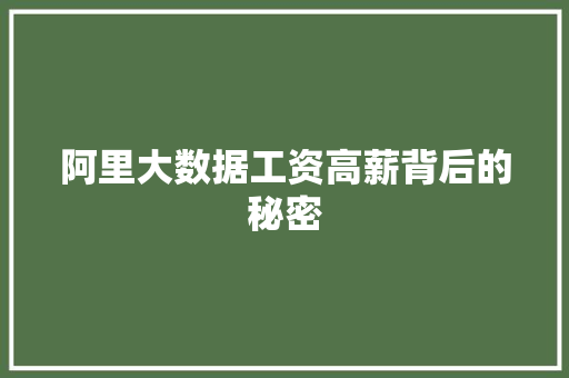 阿里大数据工资高薪背后的秘密